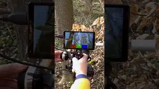 #feelworld