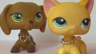 LPS:✧𝓕𝓪𝓵𝓼𝓮✧ [Odcinek #28]