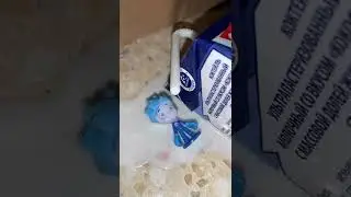 Это дедус научил
