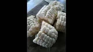 Bulalowww ala KASMOT