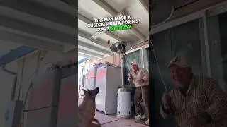 He Made His Dog a Custom Piñata 🥹❤️