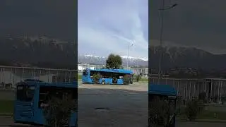 Олимпийская деревня в Сочи с видом на пальмы и горы