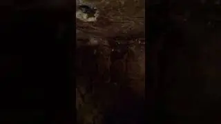 ЭТО УЖЕ СЛУЧИЛОСЬ НЕСКОЛЬКО МЕСЯЦЕВ НАЗАД.
