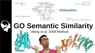 How to know if two genes are similar? | Semantic Similarity Explained