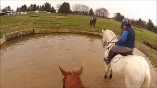 Mondeuse Cross Country Schooling 03092024
