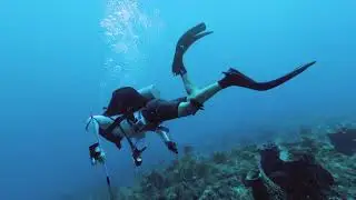 Lionfishing (2020)