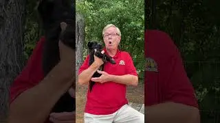 The Reason Your German Shepherd May NOT be Eating as Much!