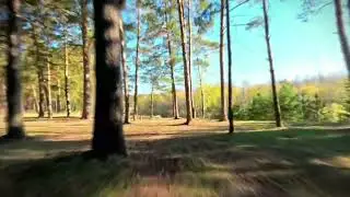 Удивительное Муромцево,  зона отдыха-
