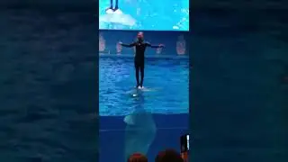 Невероятное выступление белух 😍
