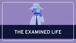 The Examined Life: Know Thyself #1 | WIRELESS PHILOSOPHY