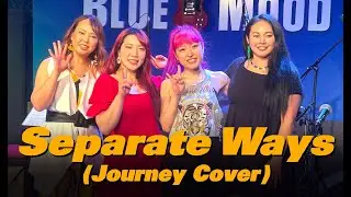 Rie a.k.a. Suzaku : Separate Ways (Journey Cover)
