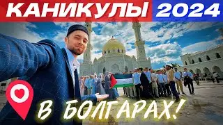 КАНИКУЛЫ В БОЛГАРАХ (2024)