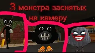 3 монстра заснятых на камеру.(чикен ган)