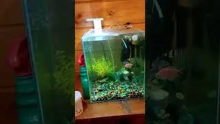 оборудование в аквариуме