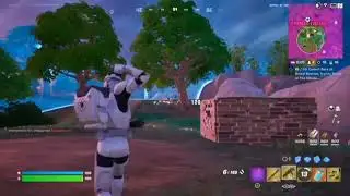 Why bushing in Fortnite is OP