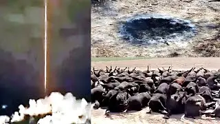 Scary And Unbelievable Things Are Happening Around The World