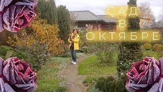 Сад в Октябре I Сад Людмилы Кудасовой