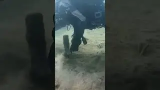 Еще немного и схвачу окуня! #shorts