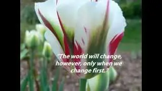 Flowers in God's Garden-Wisdom by Dadi Janki
