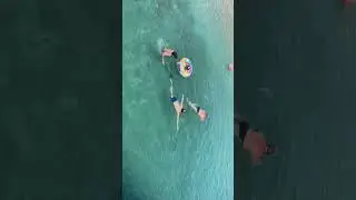 Красиво плывут, группа в полосатых купальниках