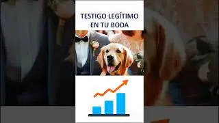 TESTIGO LEGITIMO