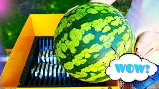 Watermelon VS Shredding Machine WOW