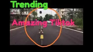 Trending Tiktok Amazing