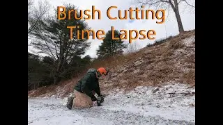 Brush Cutting Time Lapse
