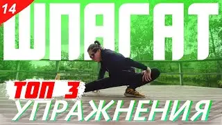 СЕСТЬ НА ШПАГАТ / три топовые упражнения на шпагат