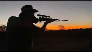 The Long Road to Africa (Africa Safari Hunt 2022)