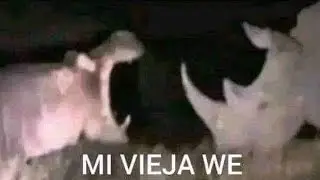 Meme absurd yang saya temukan di internet part 13