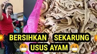 sekarung usus ayam