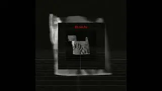 ANGELES - D.W.N