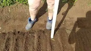 2024 5 21 Приблуда для посева