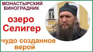 Монастырский виноградник. Озеро Селигер. Нило-Столобенская пустынь.
