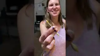 I was just trying to show off my pasta SMH