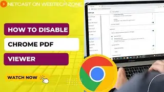 How to Disable Chrome Pdf Viewer | Chrome Pdf Viewer Settings