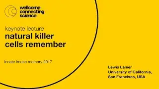 Natural killer cells remember - Lewis Lanier