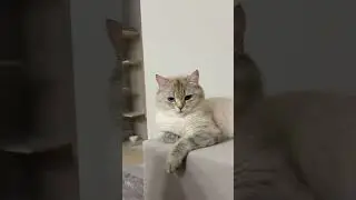 Они разные 🤔
