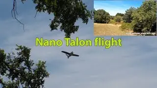Nano Talon flight