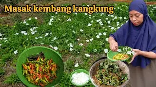 ternyata bunga kangkung itu enak ya Bun ya