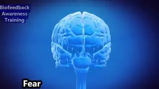 Female Biofeedback Training