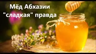 Мед в Абхазии. Процесс откачки. Вся правда!