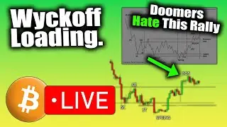CRYPTO WEEKLY CLOSE, All Markets Showing ACCUMULATION, XRP Breakout Watch