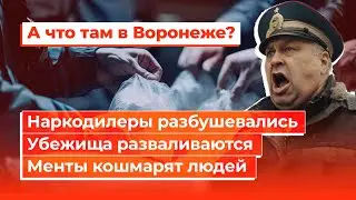 Выборы. Убежища. Менты.