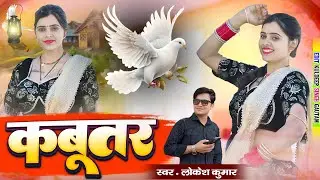 आये जइयो मेरे आशिक तू बनके कबूतर || Aaye Jaiyo Mere Aashiq Tu Bnake Kabutar || #lokeshkumar #kabutar
