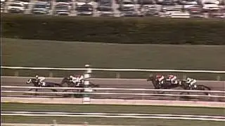 1986 Breeders' Cup Juvenile Fillies