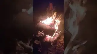 23 июля 2022 г.