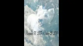 ♡ In loving memory of Buddy ♡