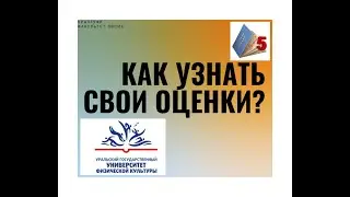 Как посмотреть свои оценки